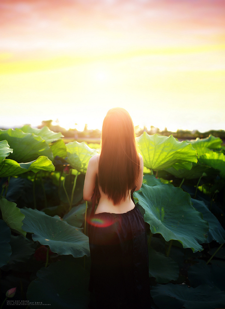 红蝎子之带泪梨花电视剧全集免费观看